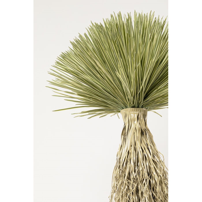 KARE roślina dekoracyjna YUCCA ROSTRATA   240 cm - obrazek 2