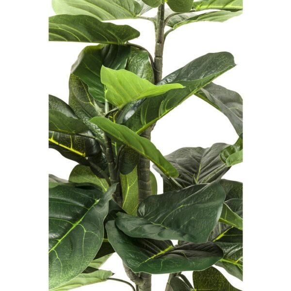 KARE roślina dekoracyjna FIDDLE LEAF 120  cm - obrazek 2