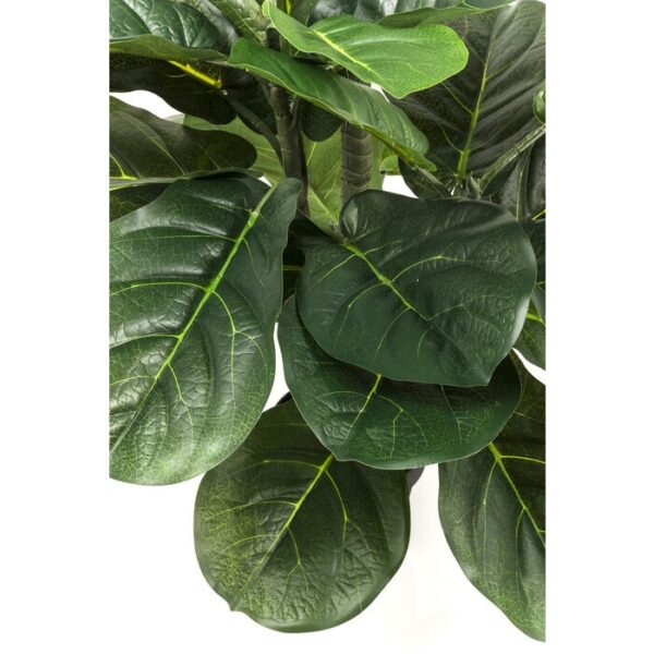 KARE roślina dekoracyjna FIDDLE LEAF 120  cm - obrazek 3
